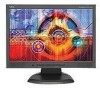 Troubleshooting, manuals and help for NEC ASLCD193WXM-BK - AccuSync - 19 Inch LCD Monitor