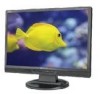 Troubleshooting, manuals and help for NEC ASLCD24WMCX-BK - AccuSync - 24 Inch LCD Monitor