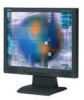 Get support for NEC LCD52VM bk - AccuSync - 15