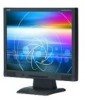 Get support for NEC LCD72VM BK - AccuSync - 17