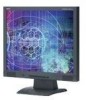 Troubleshooting, manuals and help for NEC ASLCD92VXM-BK - AccuSync - 19 Inch LCD Monitor