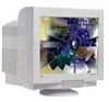 Get support for NEC FE1250 - MultiSync - 22