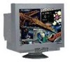 Troubleshooting, manuals and help for NEC FP1350 - MultiSync - 22 Inch CRT Display