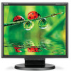 Get support for NEC LCD175M-BK
