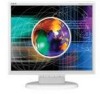 Get support for NEC LCD175VX - MultiSync - 17