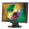 Troubleshooting, manuals and help for NEC LCD195WVXM-BK - MultiSync - 19 Inch LCD Monitor