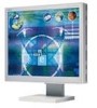 Troubleshooting, manuals and help for NEC LCD1960NX - MultiSync - 19 Inch LCD Monitor