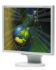 Troubleshooting, manuals and help for NEC LCD1970NX-2 - MultiSync - 19 Inch LCD Monitor