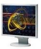 Troubleshooting, manuals and help for NEC LCD1970VX - MultiSync - 19 Inch LCD Monitor