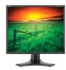 Troubleshooting, manuals and help for NEC LCD1990SX - MultiSync - 19 Inch LCD Monitor