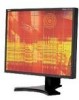 Troubleshooting, manuals and help for NEC LCD1990SXP-BK - MultiSync - 19 Inch LCD Monitor