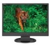 Troubleshooting, manuals and help for NEC LCD19WV - 19 Inch LCD Monitor