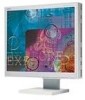 Troubleshooting, manuals and help for NEC ASLCD200VX - AccuSync - 20.1 Inch LCD Monitor