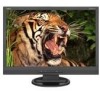 Troubleshooting, manuals and help for NEC LCD22WV-BK - AccuSync - 22 Inch LCD Monitor