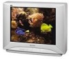 Troubleshooting, manuals and help for Panasonic CT-27SL14 - 27 Inch CRT TV
