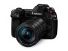 Troubleshooting, manuals and help for Panasonic DC-G9LK