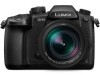 Troubleshooting, manuals and help for Panasonic DC-GH5LK