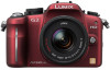 Troubleshooting, manuals and help for Panasonic DMC-G2R