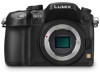 Troubleshooting, manuals and help for Panasonic GH3BODYBUNDLE1