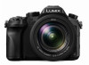 Troubleshooting, manuals and help for Panasonic LUMIX FZ2500