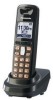 Get support for Panasonic TD45208983 - EXTRA HS FOR DECT 64XX WHT LC