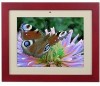Get support for Polaroid M635 - 10.4-in IDF-1030 Digital Picture Frame