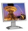 Get support for Samsung 204T - SyncMaster - 20.1