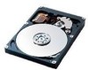 Get support for Samsung SP0411N - SpinPoint PL40 40 GB Hard Drive