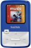 Get support for SanDisk SDMX22-004G-A57B