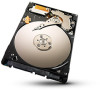 Get support for Seagate ST250LT009