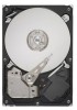 Seagate ST31000524AS Support Question
