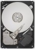 Seagate ST31000528AS New Review