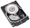 Get support for Seagate ST3146855LW