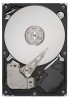 Get support for Seagate ST3160318AS - Barracuda 7200.12 - Hard Drive