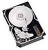 Get support for Seagate ST318404LC - Cheetah 18.4 GB Hard Drive
