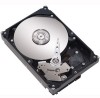 Get support for Seagate ST3250410AS
