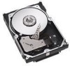 Seagate ST3300007LC New Review