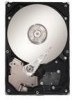Troubleshooting, manuals and help for Seagate SV35.2 - Series 320 GB Hard Drive