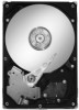 Get support for Seagate ST3500630NS