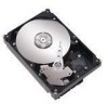 Get support for Seagate STM3160215A - Maxtor DiamondMax 160 GB Hard Drive