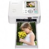 Troubleshooting, manuals and help for Sony DPPFP67 - Picture Station Photo Printer