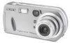 Sony DSC-P92 New Review