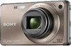 Get support for Sony DSC-W290/T - Cyber-shot Digital Still Camera; Bronze