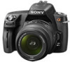 Get support for Sony DSLR-A290L - alpha; Digital Single Lens Reflex Camera Zoom