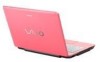 Get support for Sony VGN-C210E - VAIO - Core 2 Duo 1.66 GHz