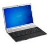 Get support for Sony VGN-FZ240E - VAIO - Core 2 Duo GHz