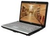 Troubleshooting, manuals and help for Toshiba M205-S3217 - Satellite - Pentium Dual Core 1.73 GHz