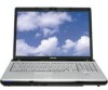 Troubleshooting, manuals and help for Toshiba P205D-S8806 - Satellite - Turion 64 X2 2.2 GHz