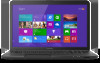 Toshiba Satellite C875D-S7105 New Review