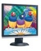 Troubleshooting, manuals and help for ViewSonic VA916 - 19 Inch LCD Monitor